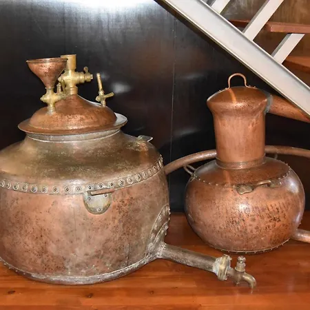 Casa De Lamas カントリーハウス カベセイラス・デ・バスト